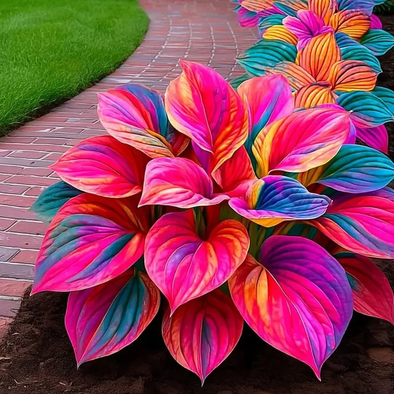 /69d5ff2e3a14dd0009b8807f/2026/04/14/product-img-69ddedebf707c0639afa46ee.png